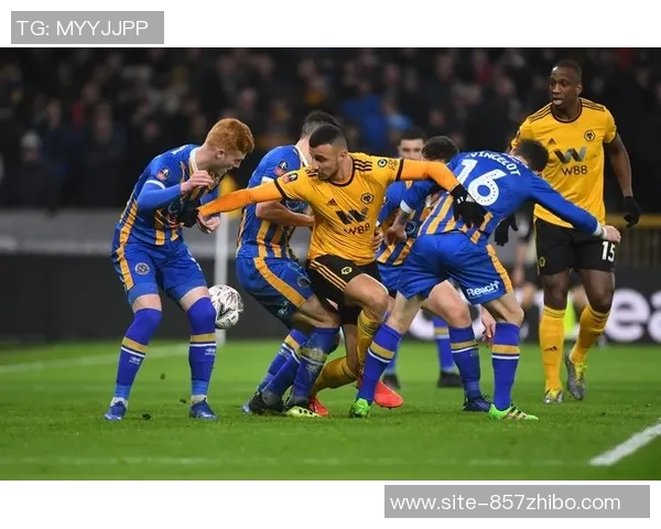 国王队与森林狼队对决前瞻分析及胜负猜测解析