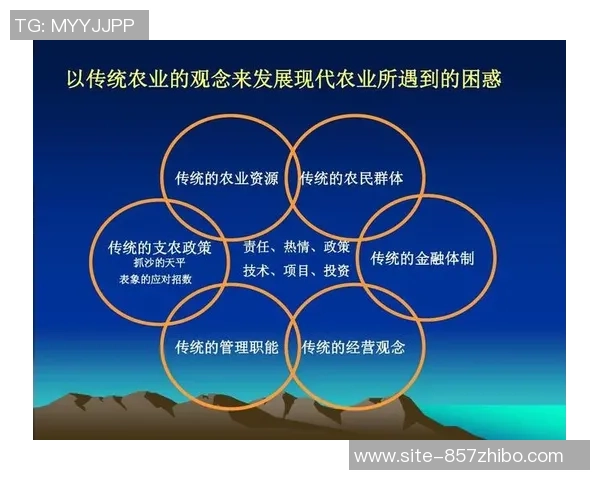 山西与辽宁季前赛全面数据分析及战术对比探讨